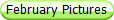 February Pictures