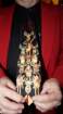 dsc05029_small.jpg