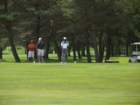 dscf0213_small.jpg